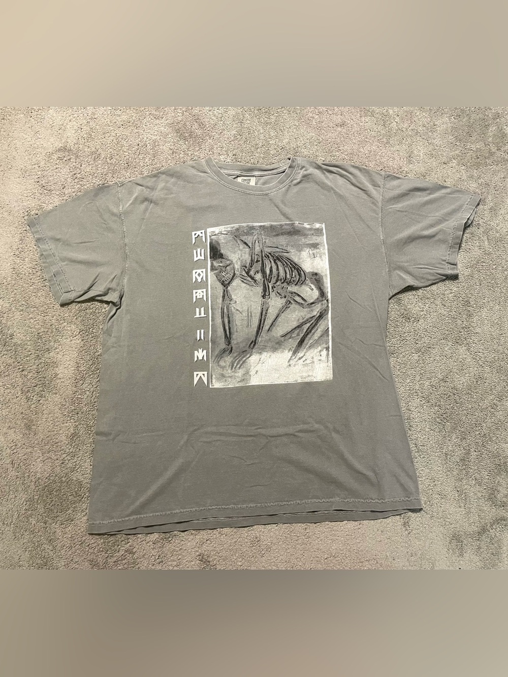 Pronouns Band Graphic T Shirt Men’s XL Gray Cotton Comfort Colors Tee